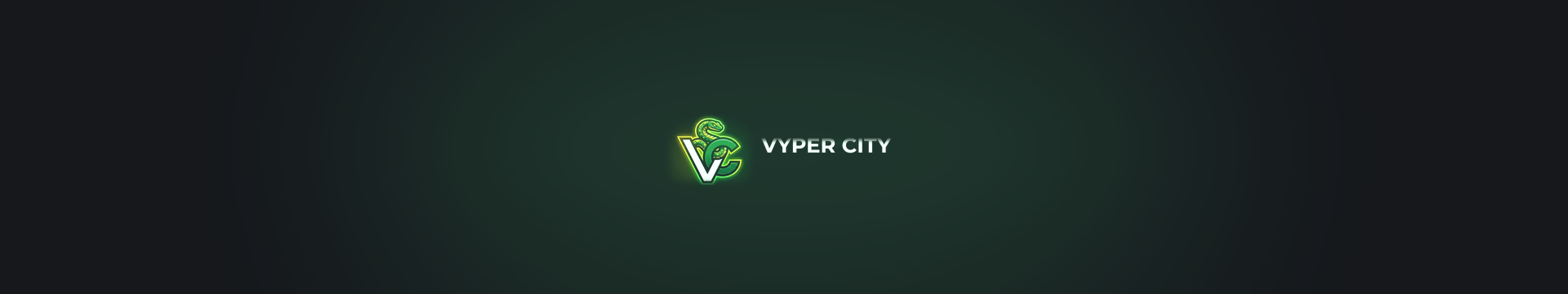 VYPER CITY